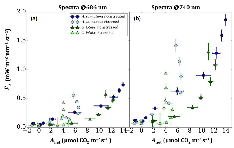 圖7210819.jpg 圖7210819.jpg