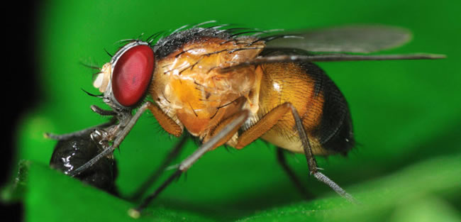 圖1211101.jpg 圖1211101.jpg