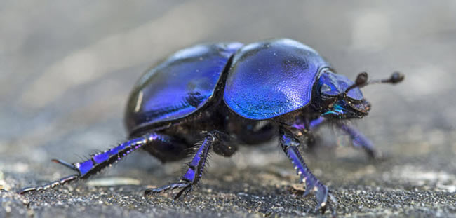 圖1211102.jpg 圖1211102.jpg