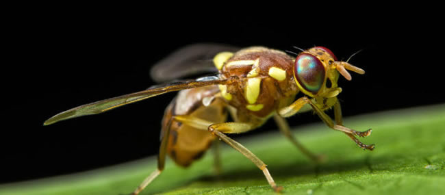 圖1211103.jpg 圖1211103.jpg