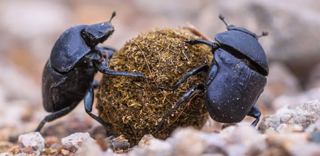 圖1211104.jpg 圖1211104.jpg