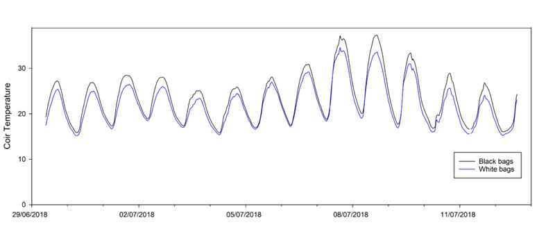 圖4211126.jpg 圖4211126.jpg