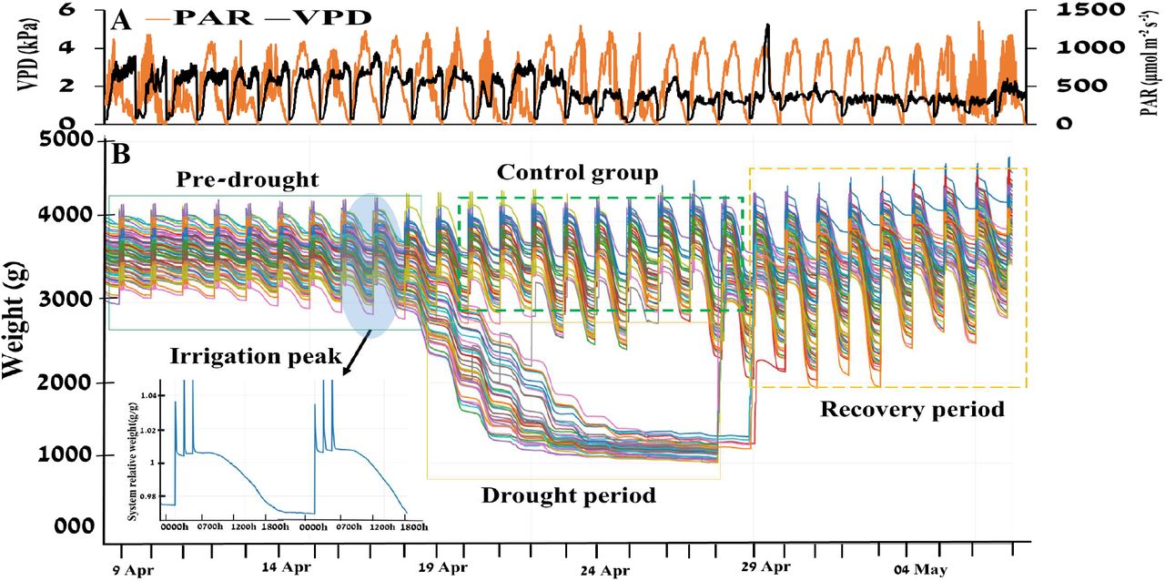 圖1211130.jpg 圖1211130.jpg