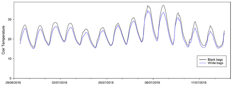 圖5220209.jpg 圖5220209.jpg