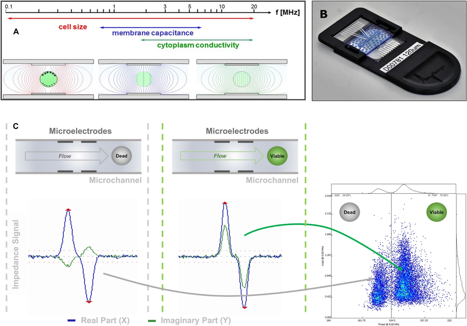 20220413caijizhuandao.jpg 20220413caijizhuandao.jpg