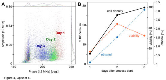 20220413bear.jpg 20220413bear.jpg