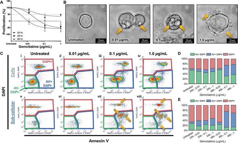 20220413cell1.jpg 20220413cell1.jpg