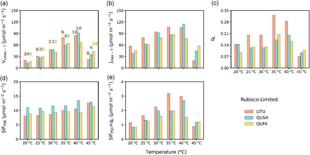 圖5220418.jpg 圖5220418.jpg