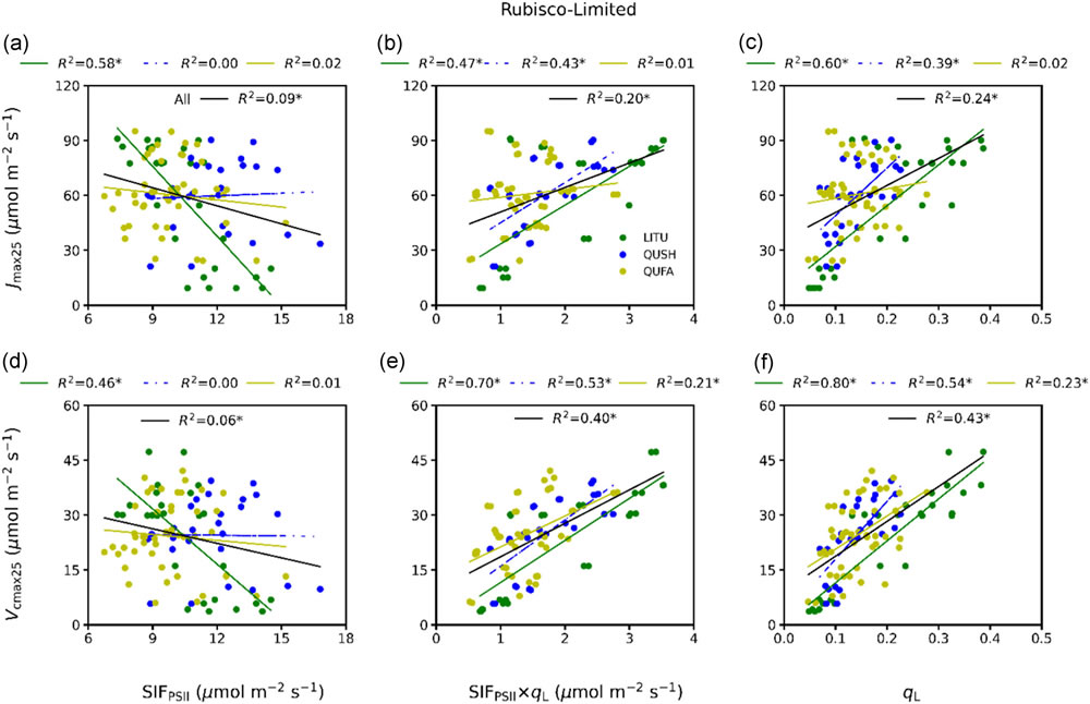 圖8220418.jpg 圖8220418.jpg