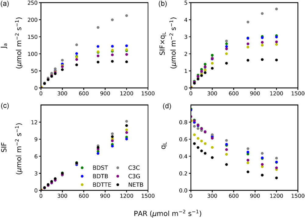 圖9220418.jpg 圖9220418.jpg