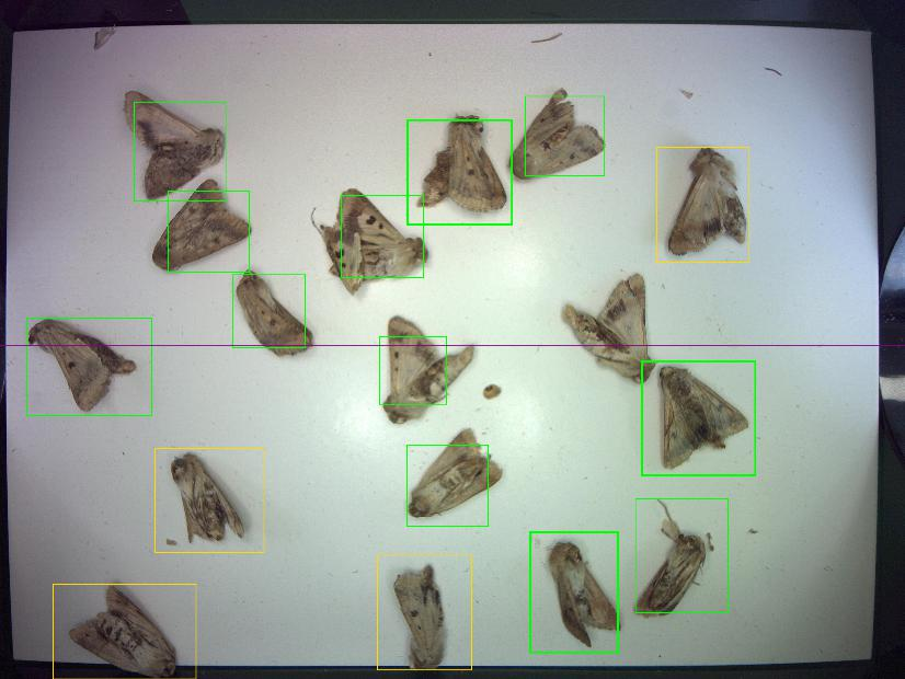 圖片7.png 圖片7.png