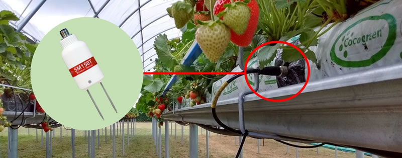 圖3220209.jpg 圖3220209.jpg