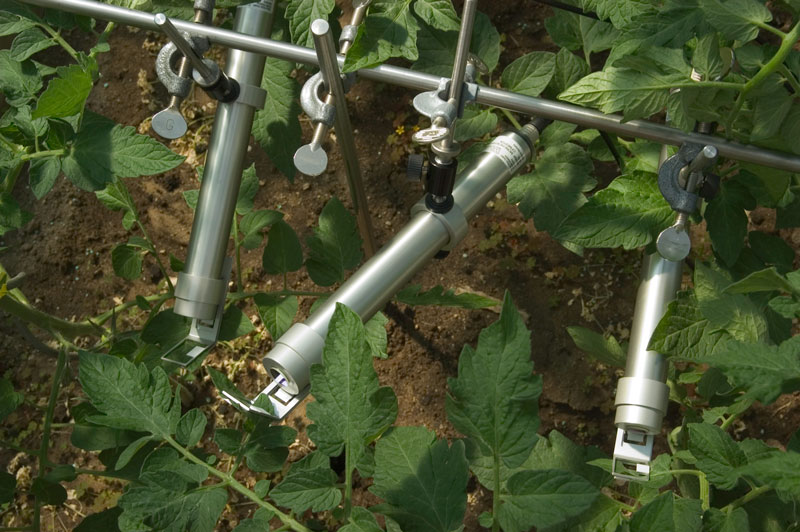 dsc_1662-1.jpg dsc_1662-1.jpg