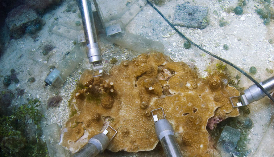 guam_island_6xl.jpg guam_island_6xl.jpg