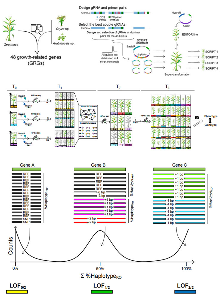 圖123031501.jpg 圖123031501.jpg