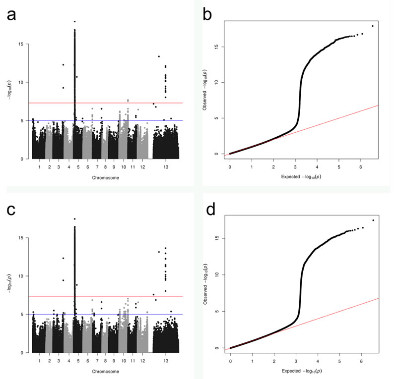 圖123032201.jpg 圖123032201.jpg