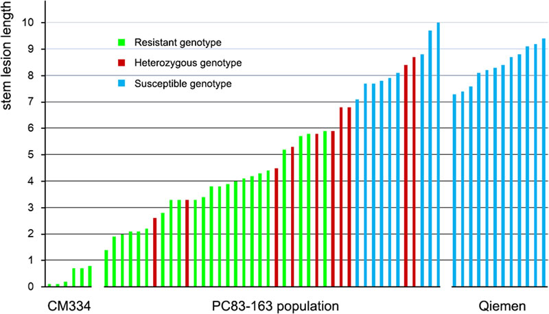 圖523032201.jpg 641af8378e3f1.jpg