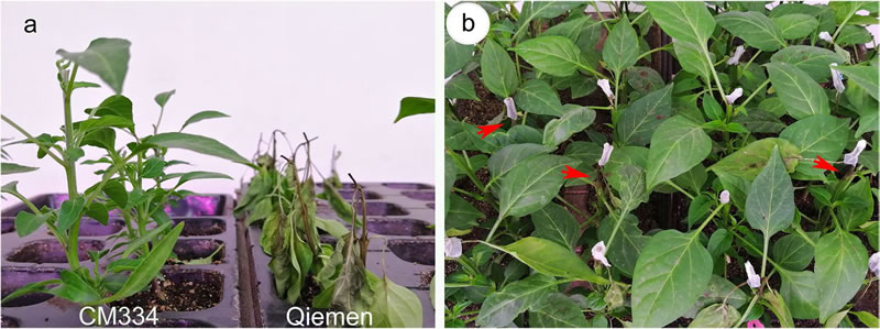 圖323032201.jpg 圖323032201.jpg