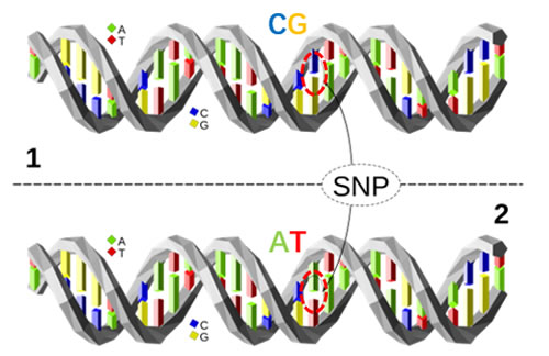 圖623032201.jpg 圖623032201.jpg