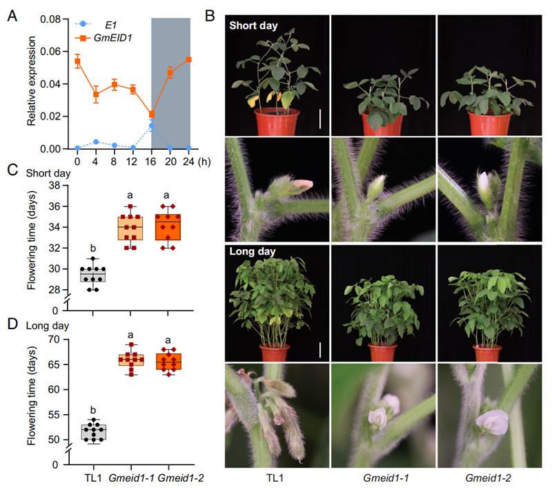 圖123041002.jpg 圖123041002.jpg