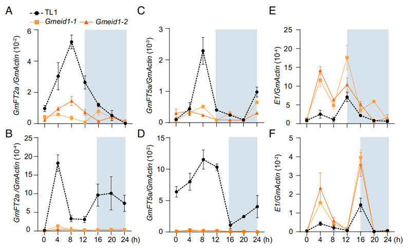 圖223041002.jpg 圖223041002.jpg