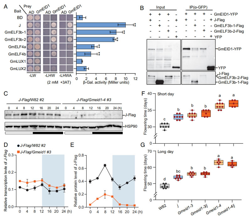 圖323041002.jpg 圖323041002.jpg