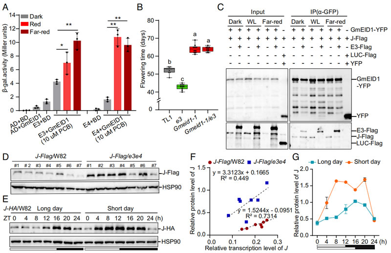 圖423041002.jpg 圖423041002.jpg
