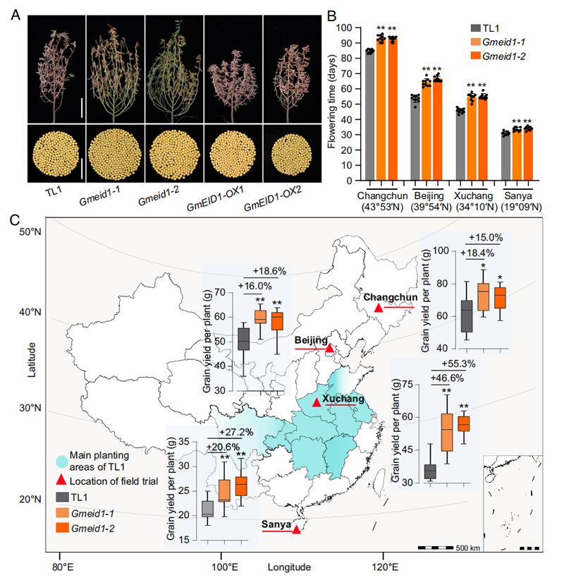圖523041002.jpg 圖523041002.jpg