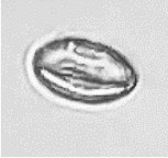 表1-2.png 表1-2.png