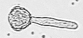 表1-5.png 表1-5.png