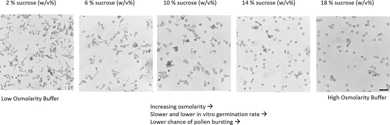 圖423080901.jpg 圖423080901.jpg