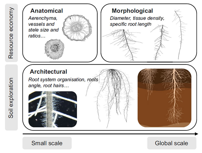 圖223081402.jpg 圖223081402.jpg