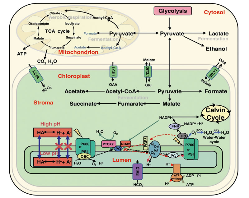 圖223072001.jpg 圖223072001.jpg