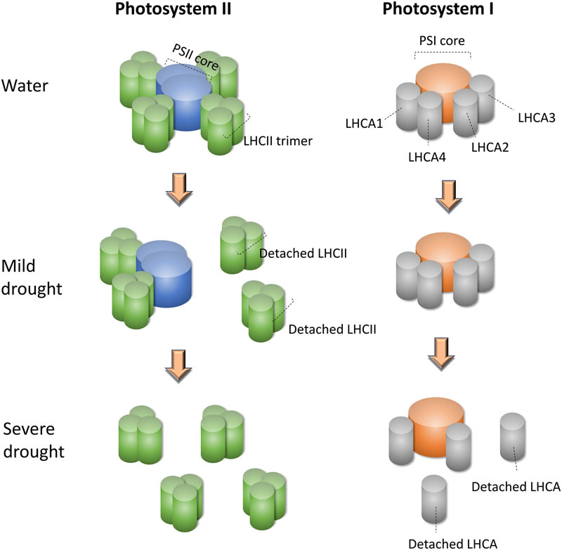 圖523080701.jpg 圖523080701.jpg