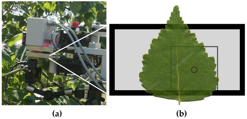 圖123013001.jpg 圖123013001.jpg