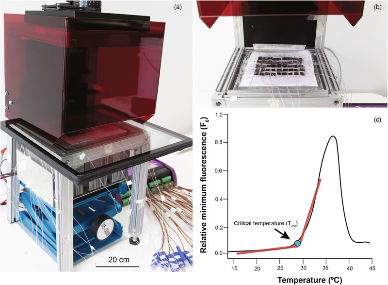 圖123091001.jpg 圖123091001.jpg