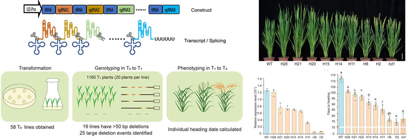 圖123111301.jpg 圖123111301.jpg