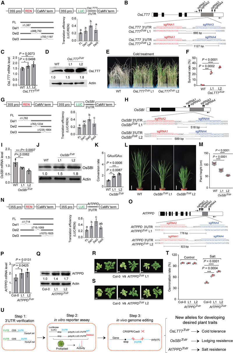 圖123120501s.jpg 圖123120501s.jpg