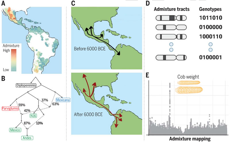圖123120801.jpg 圖123120801.jpg