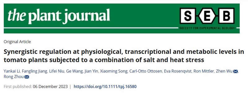 圖123121101.jpg 圖123121101.jpg