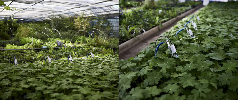 圖824010301s.jpg 圖824010301s.jpg