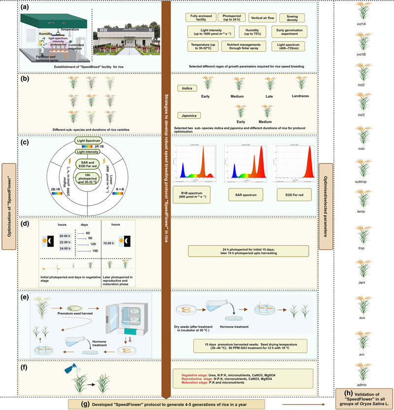 圖123122601s.jpg 圖123122601s.jpg