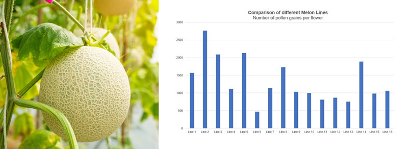 圖224031203s.jpg 圖224031203s.jpg