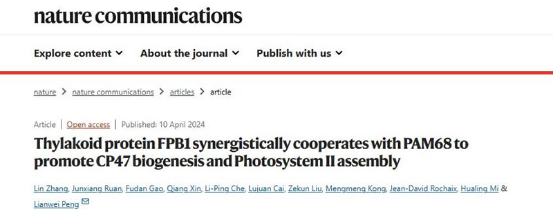 圖124042202.jpg 圖124042202.jpg