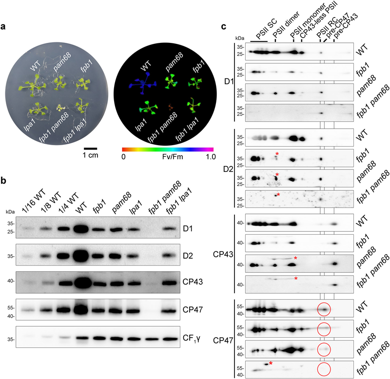 圖324042202.jpg 圖324042202.jpg