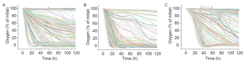 圖124042203.jpg 圖124042203.jpg
