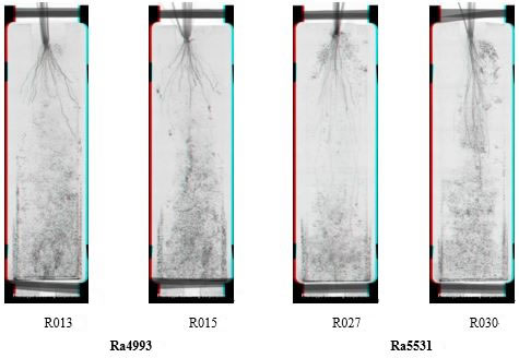 圖624050902.jpg 圖624050902.jpg