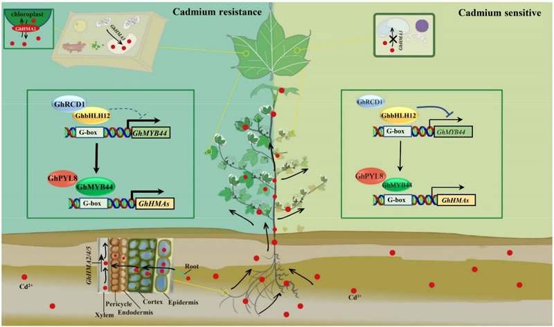 圖124030101.jpg 圖124030101.jpg