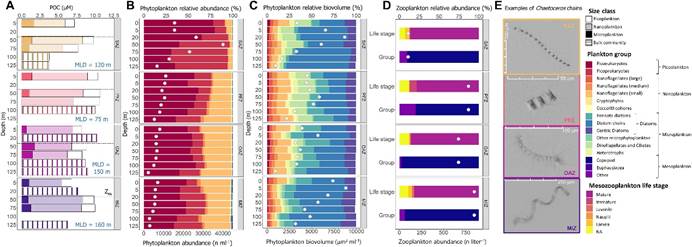 image002.jpg image002.jpg
