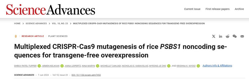 圖024061001.jpg 圖024061001.jpg